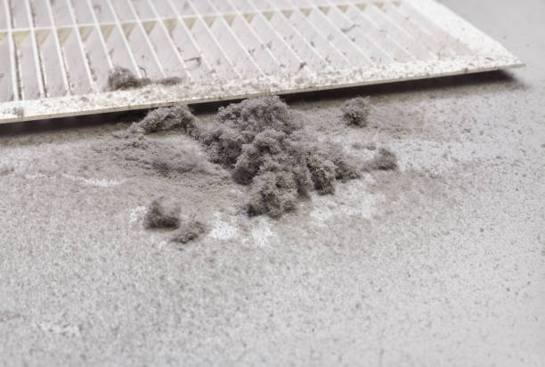 Best HVAC Duct Inspection Services  in Murrells Inlet, SC