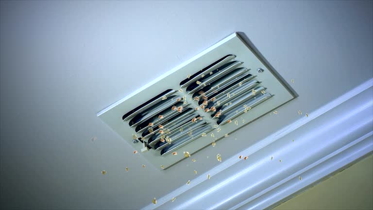 Best HVAC Air Duct Cleaning  in Murrells Inlet, SC