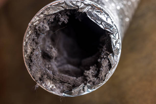 Best Emergency Air Duct Cleaning  in Murrells Inlet, SC